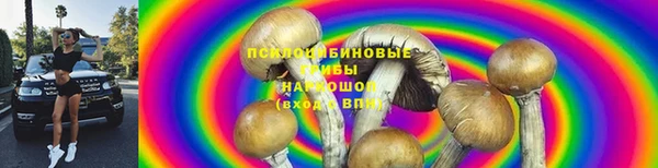 дмт Нея