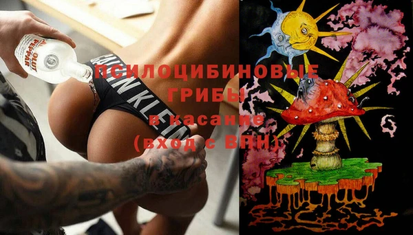 дмт Нея