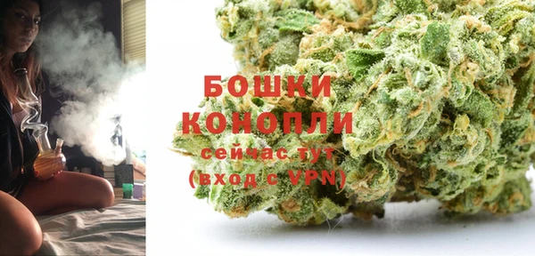 дмт Нея