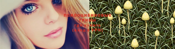 PSILOCYBIN Нефтегорск