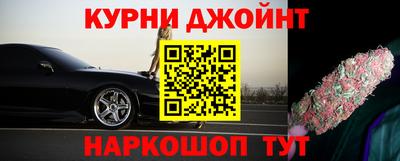 гидра Шелехов