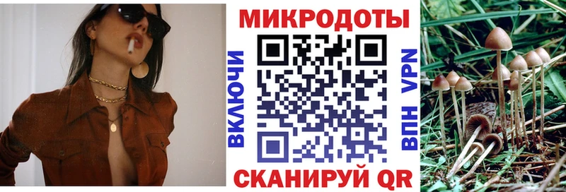 Галлюциногенные грибы Cubensis  Благовещенск 