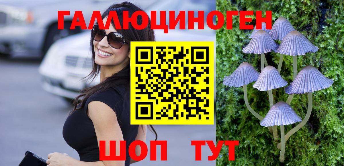 Галлюциногенные грибы GOLDEN TEACHER  Галлюциногенные грибы GOLDEN TEACHER  Благовещенск 